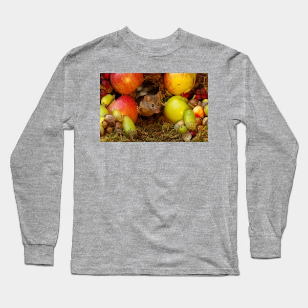 George the mouse in a log pile house - stand back apples super mouse coming through Long Sleeve T-Shirt by Simon-dell